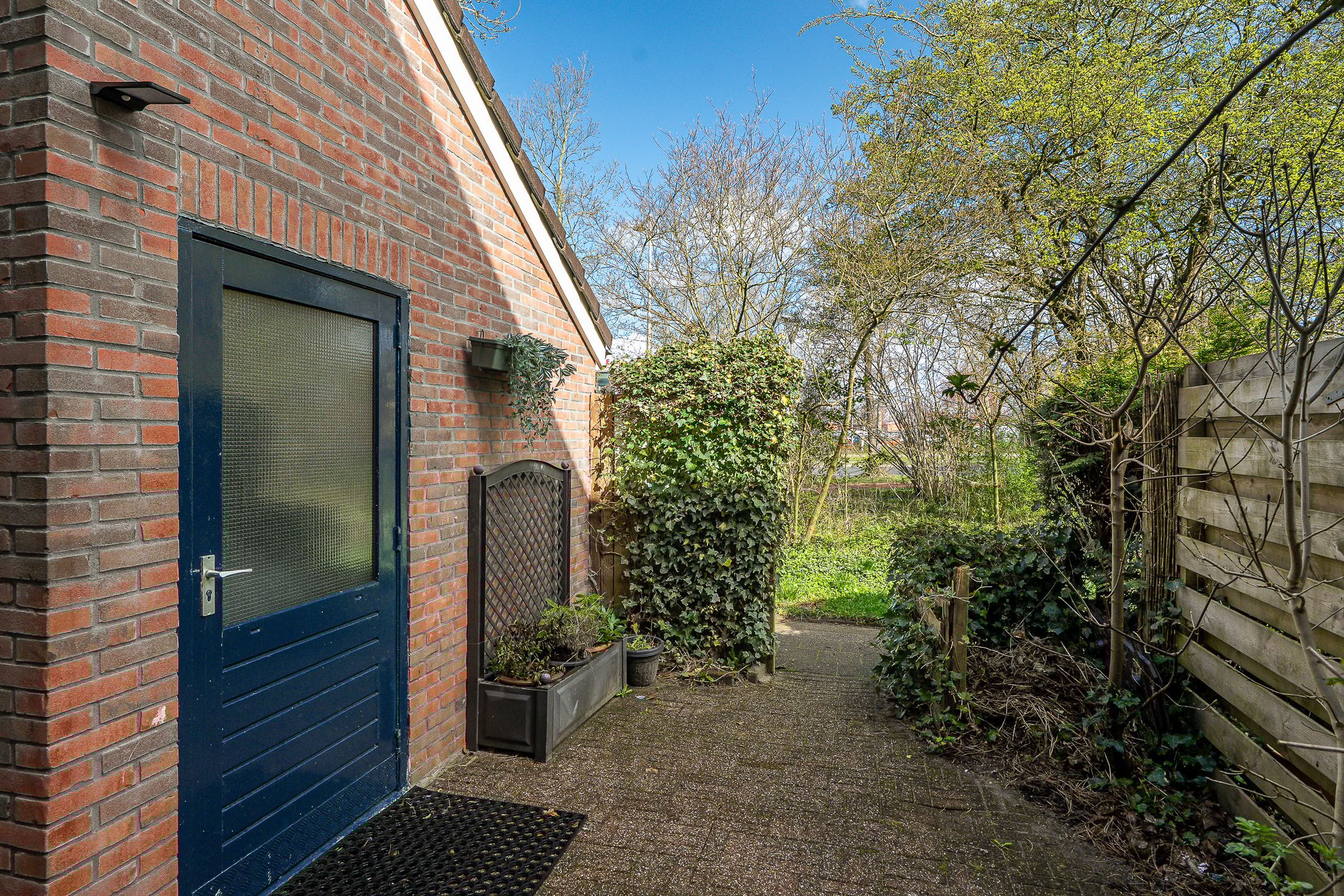 Foto 36 van Lenteklokje 29