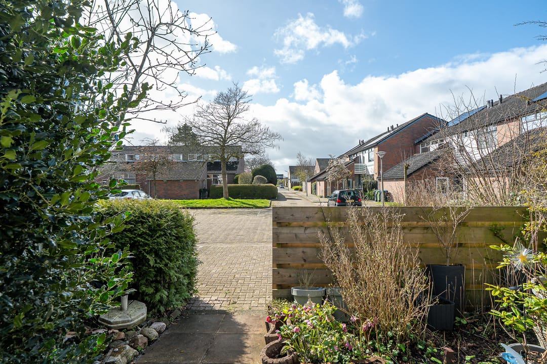 Foto 32 van Lenteklokje 29