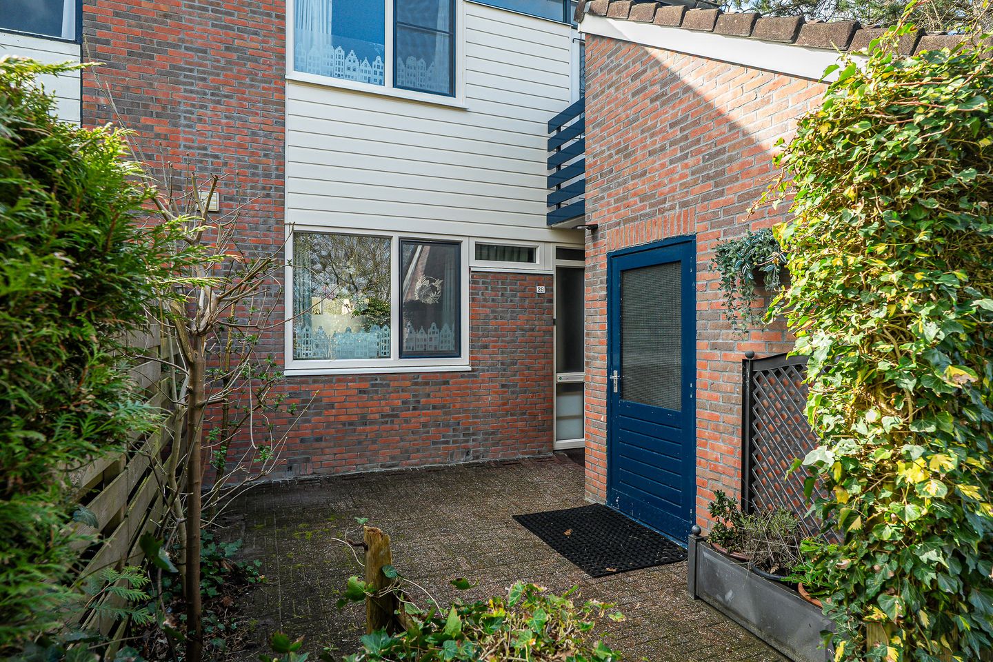 Foto 35 van Lenteklokje 29