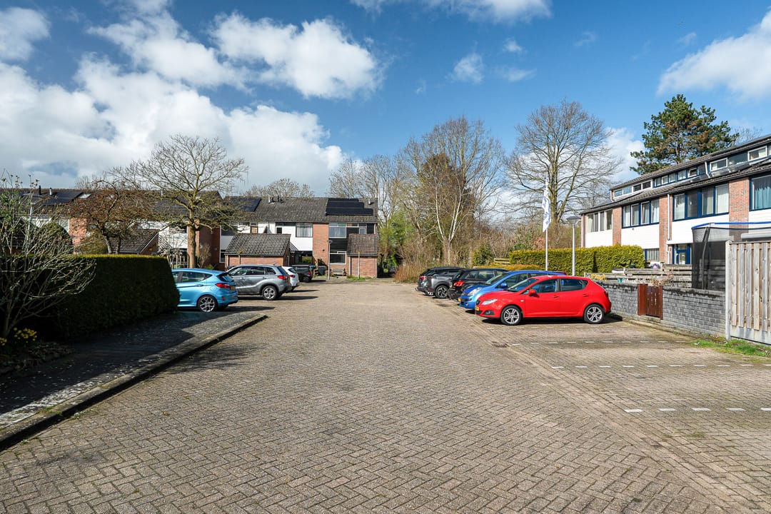 Foto 28 van Lenteklokje 29