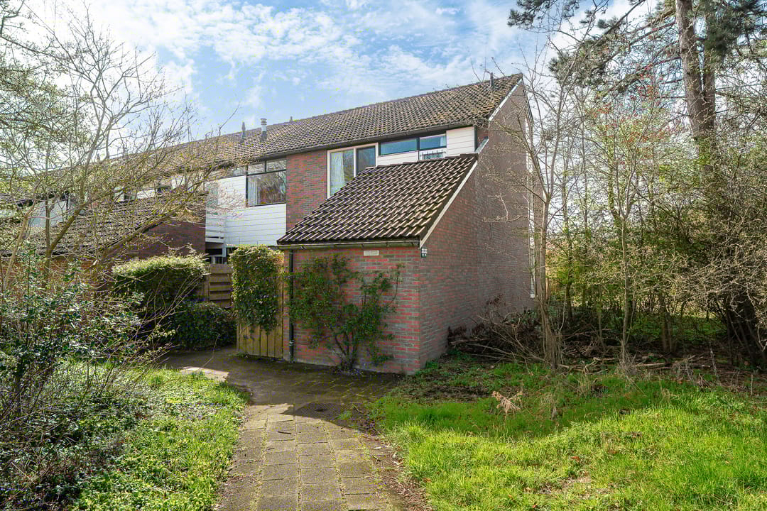 Foto 2 van Lenteklokje 29