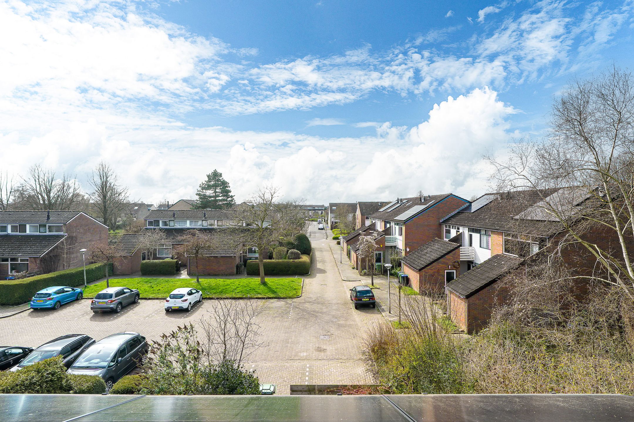 Foto 33 van Lenteklokje 29