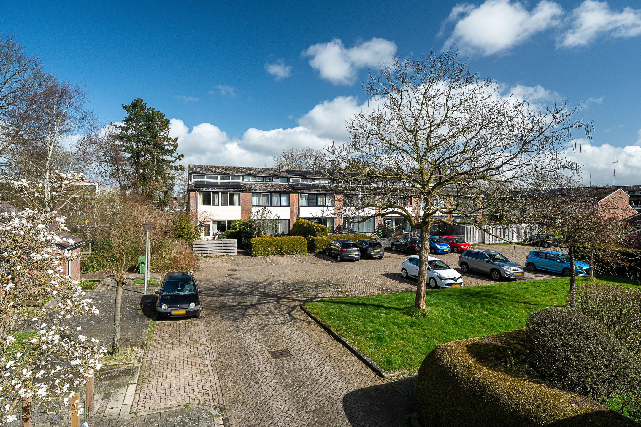 Foto 27 van Lenteklokje 29