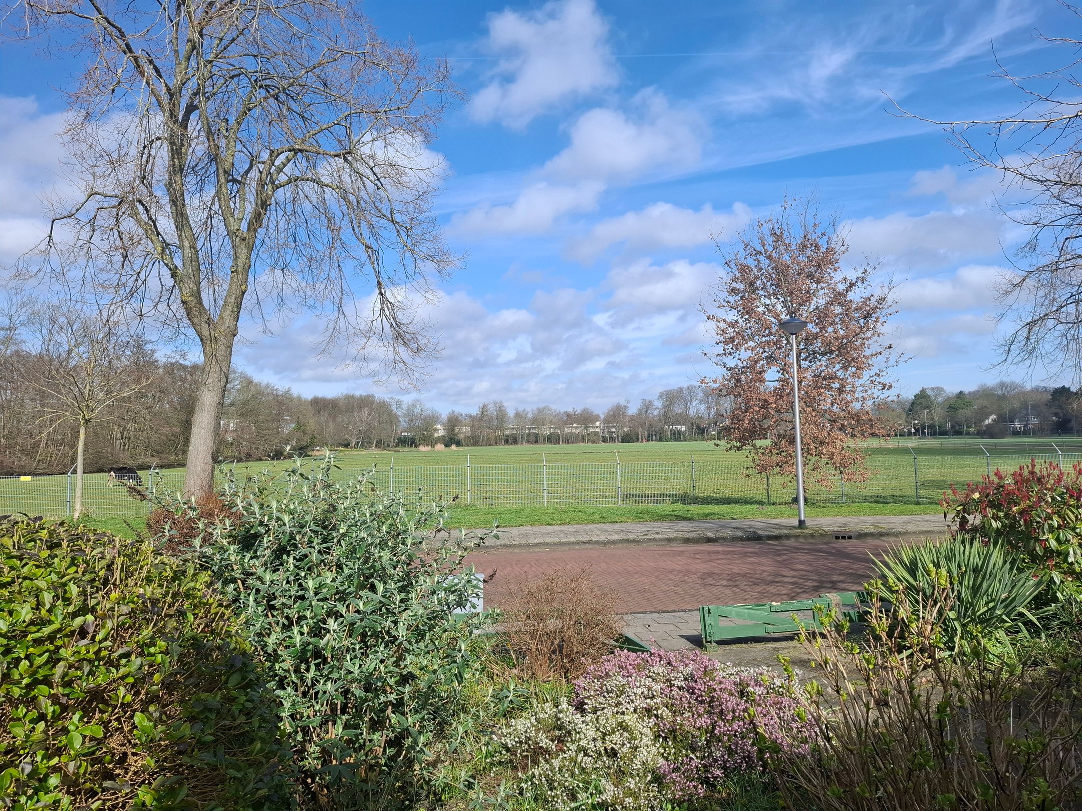 Photo 6 of Dinkellaan 5