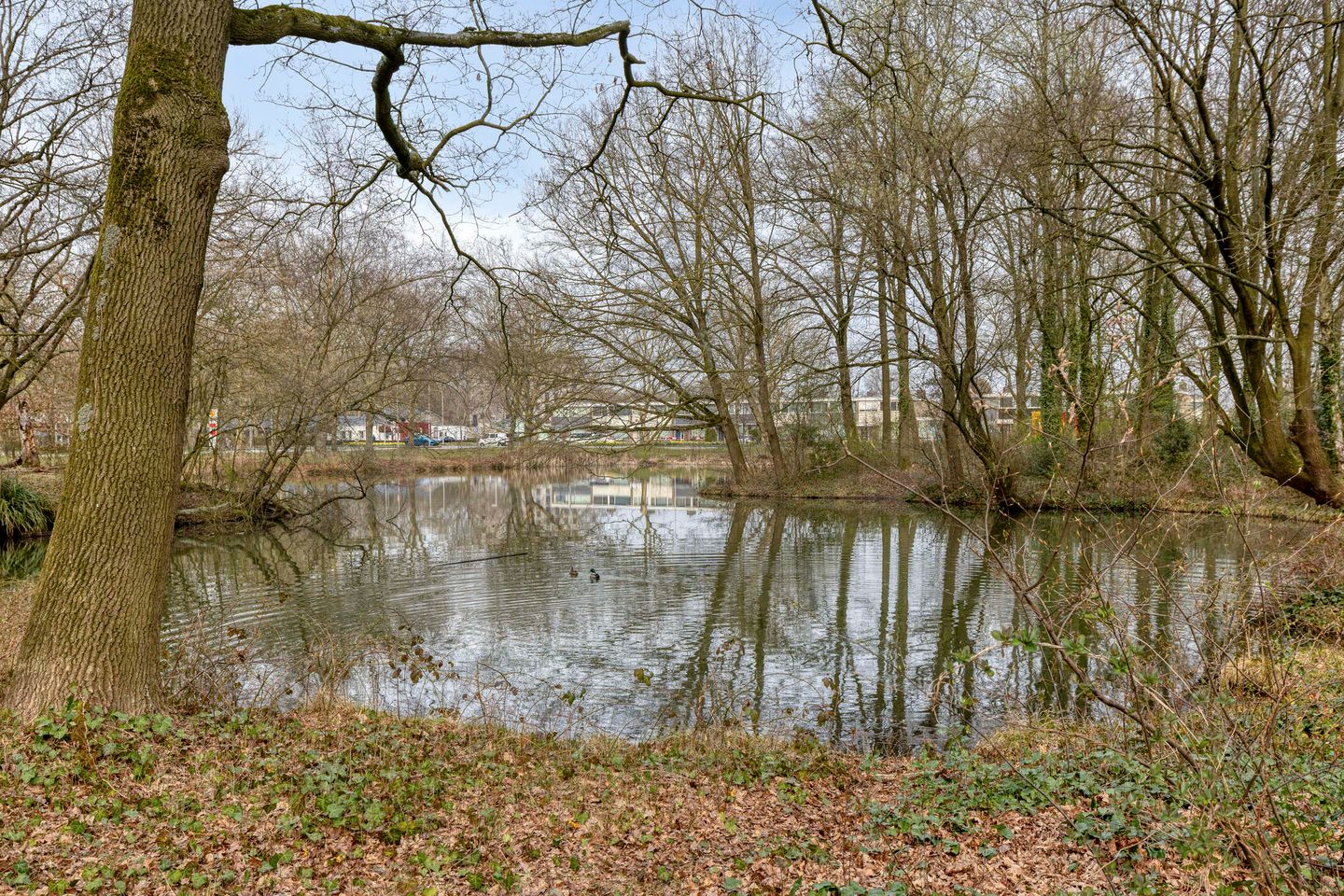 Photo 34 of Staringstraat 61