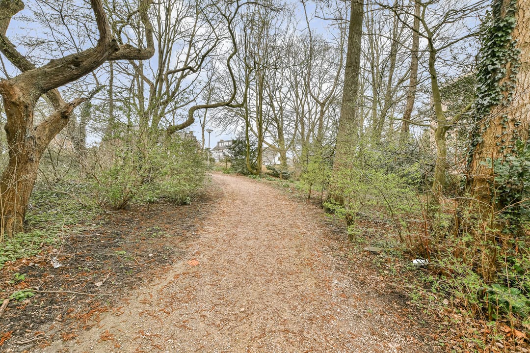 Photo 22 of Populierenlaan 111