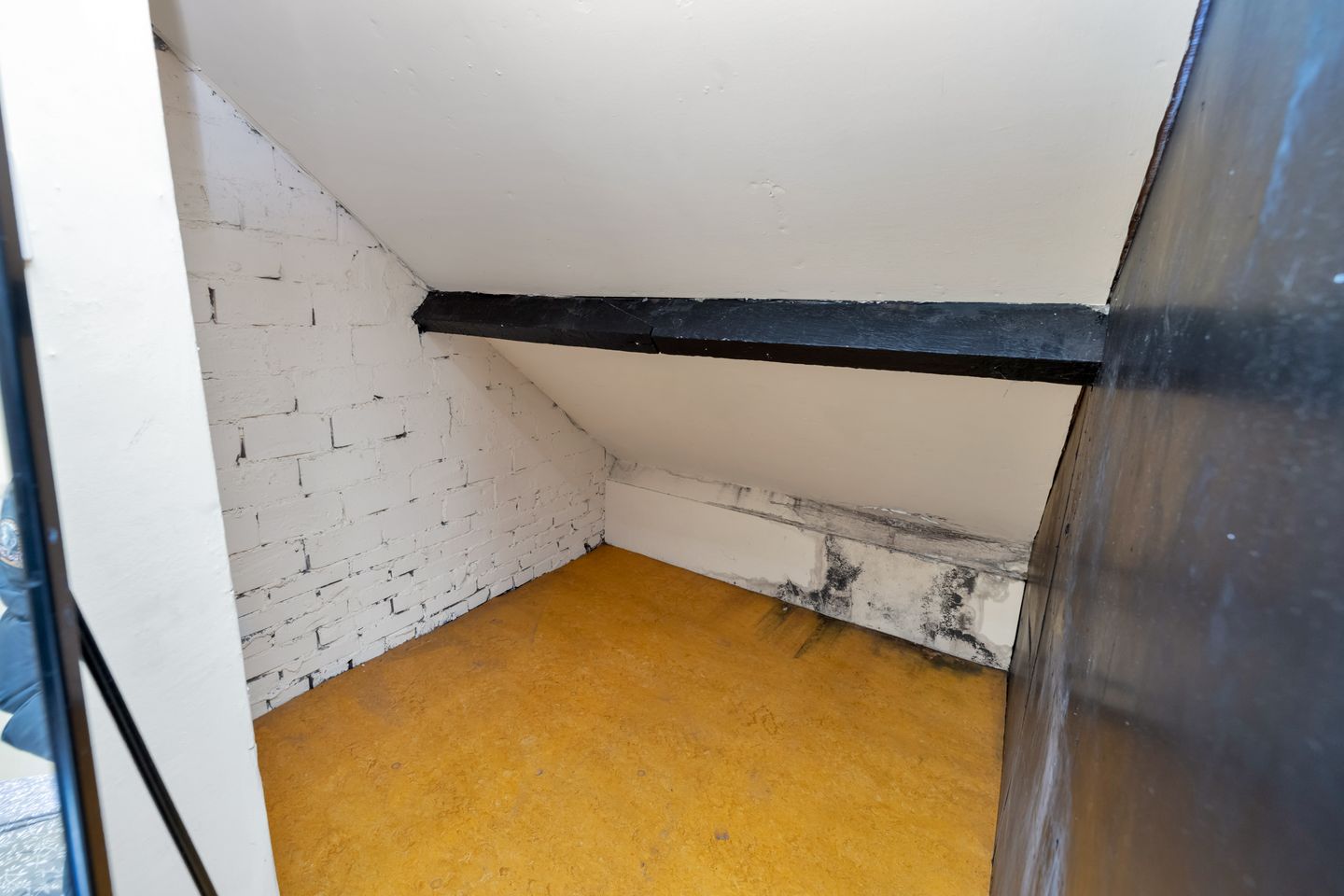 Foto 50 van Leeuwenbekstraat 20