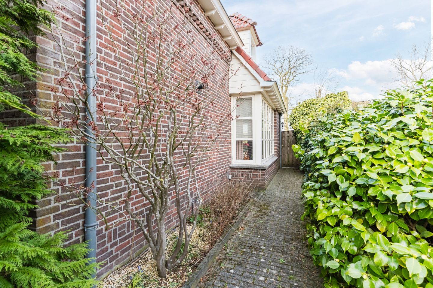 Foto 74 van De Tollande 25