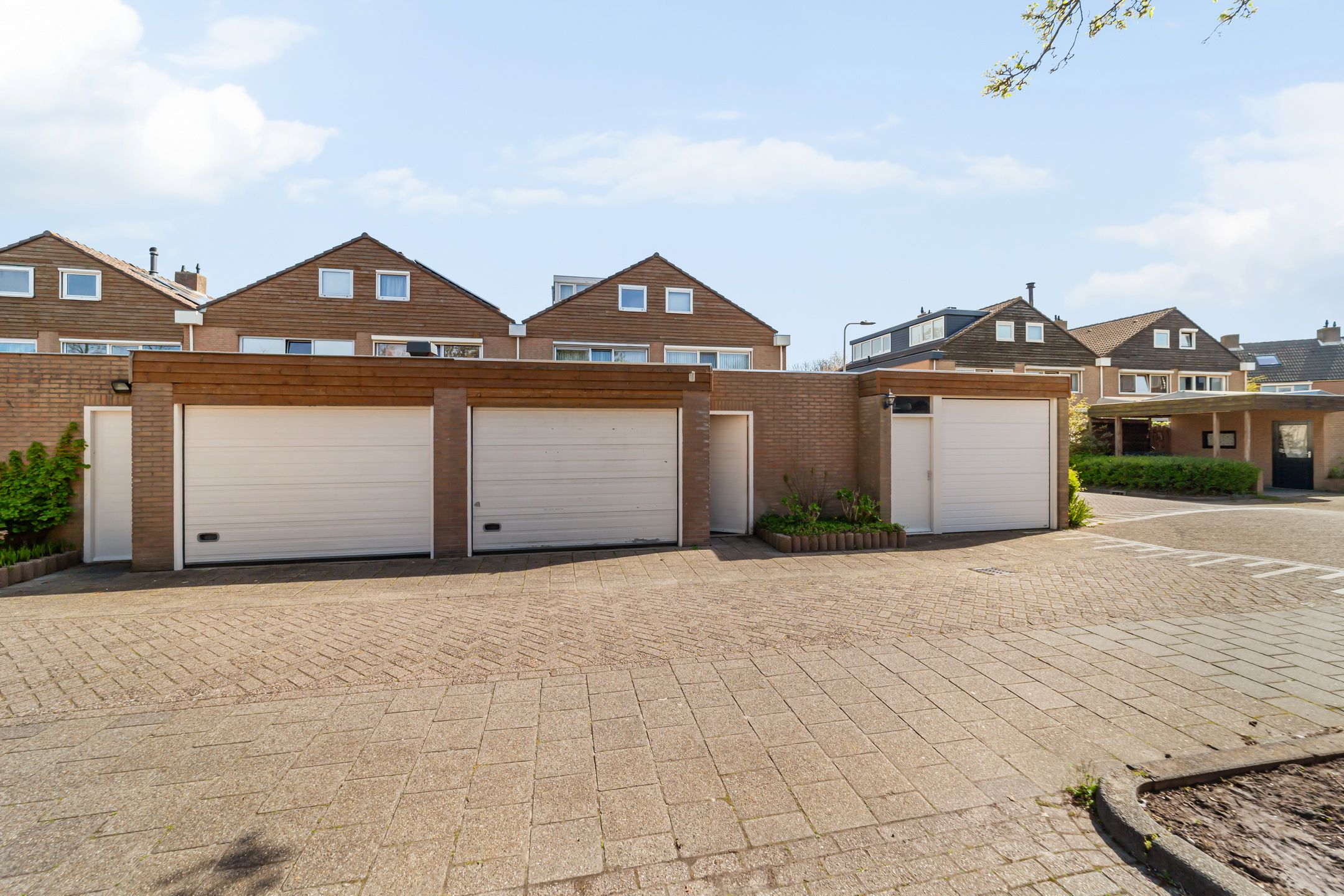 Foto 33 van Olivien 34