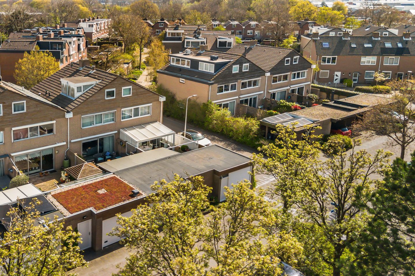 Foto 35 van Olivien 34