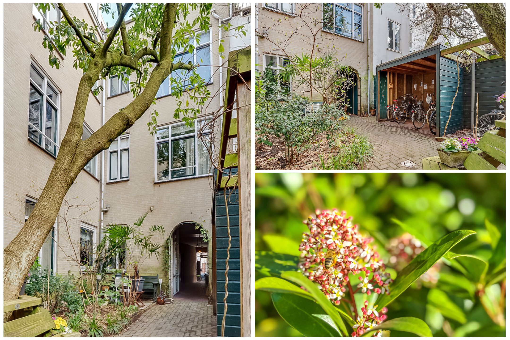 Photo 9 of Eerste Boerhaavestraat 6-D