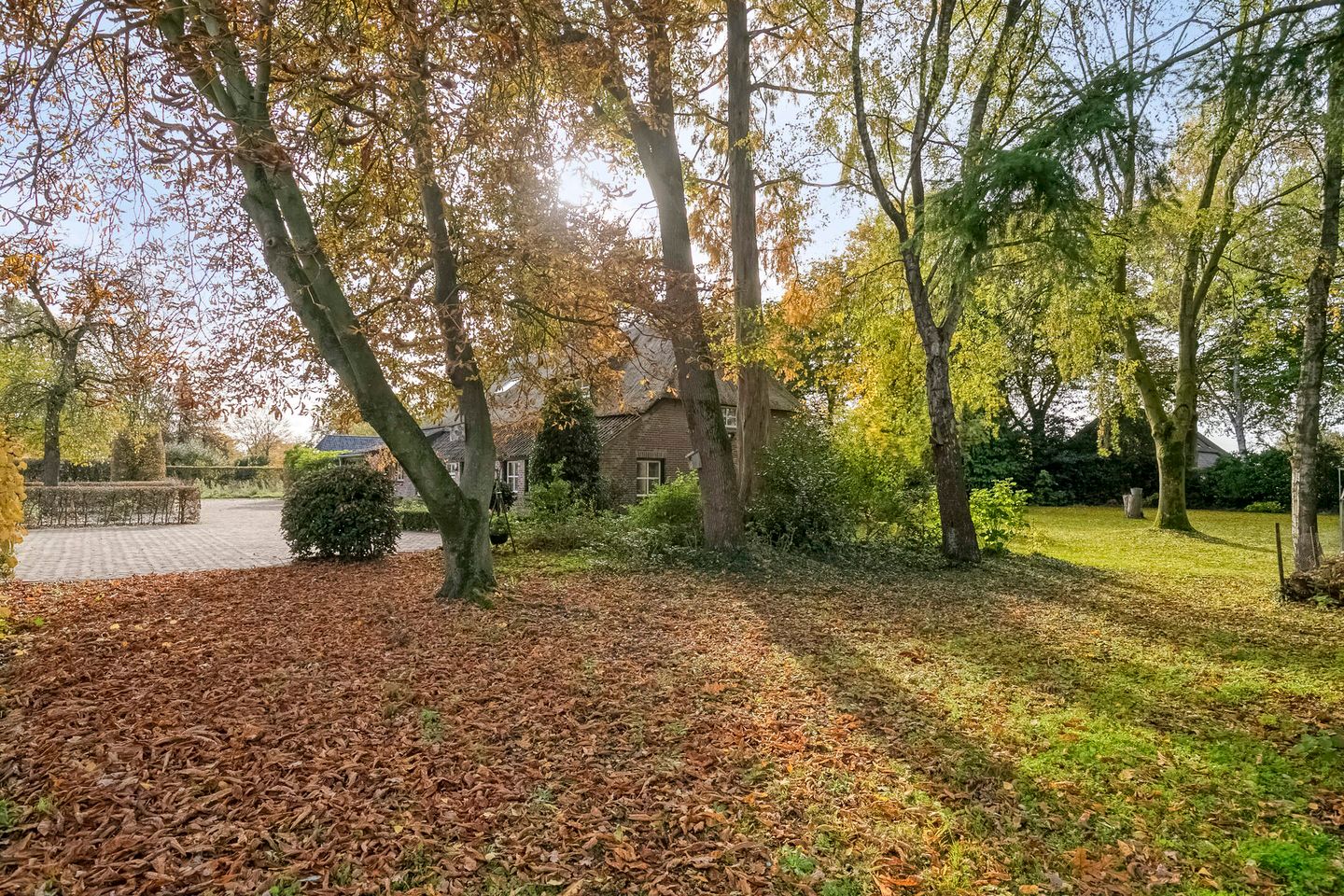 Foto 50 van Weverstraat 32