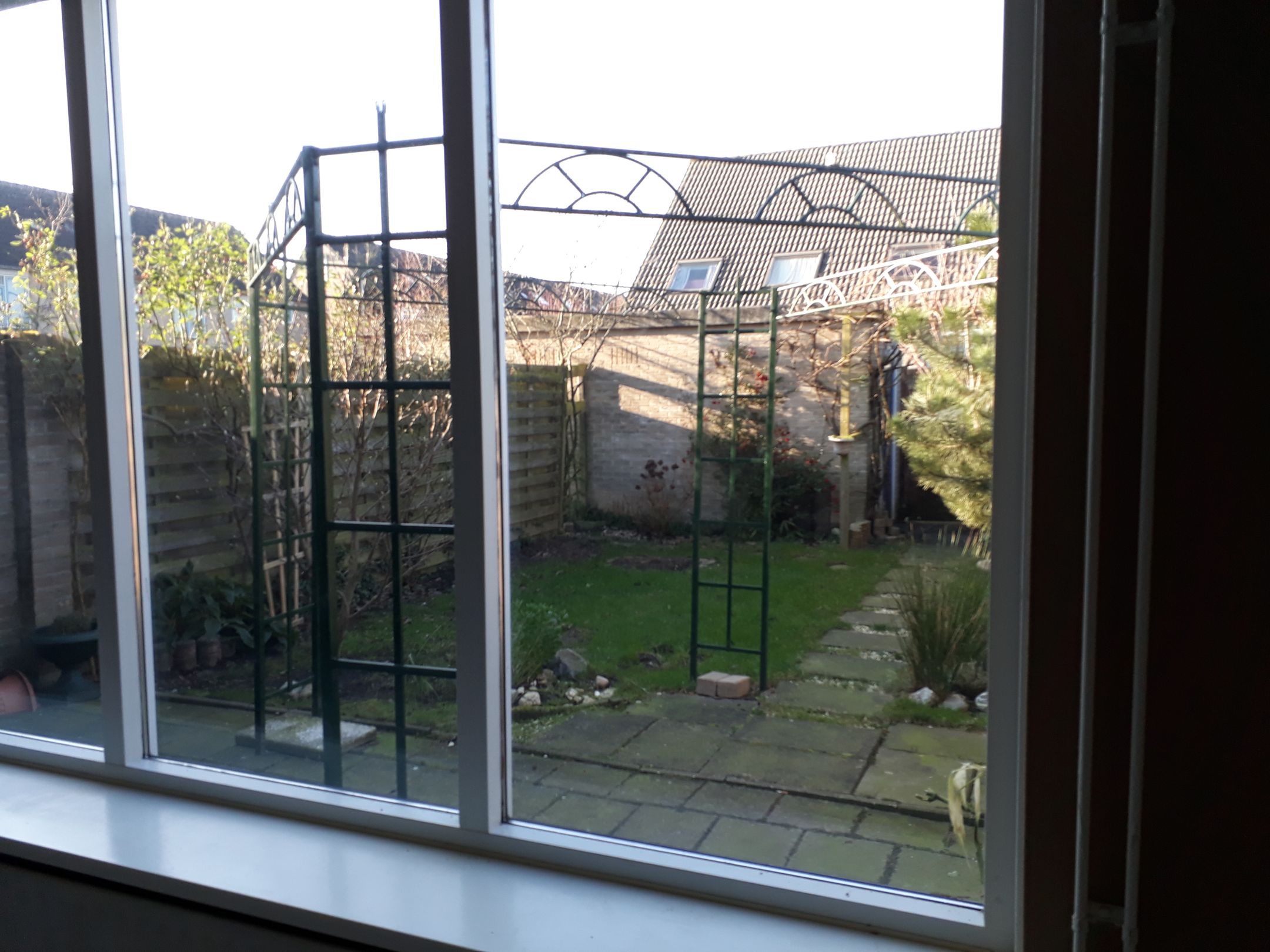 Foto 12 van Saffier 37