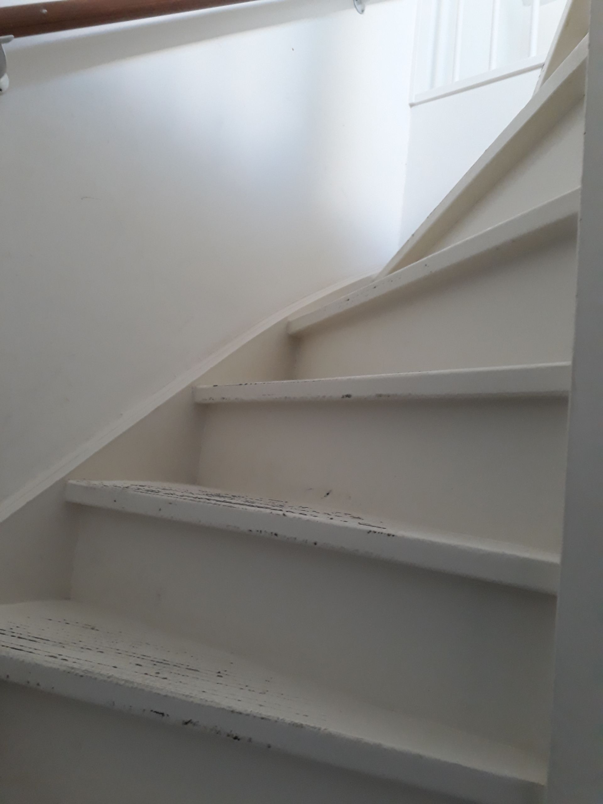 Foto 18 van Saffier 37