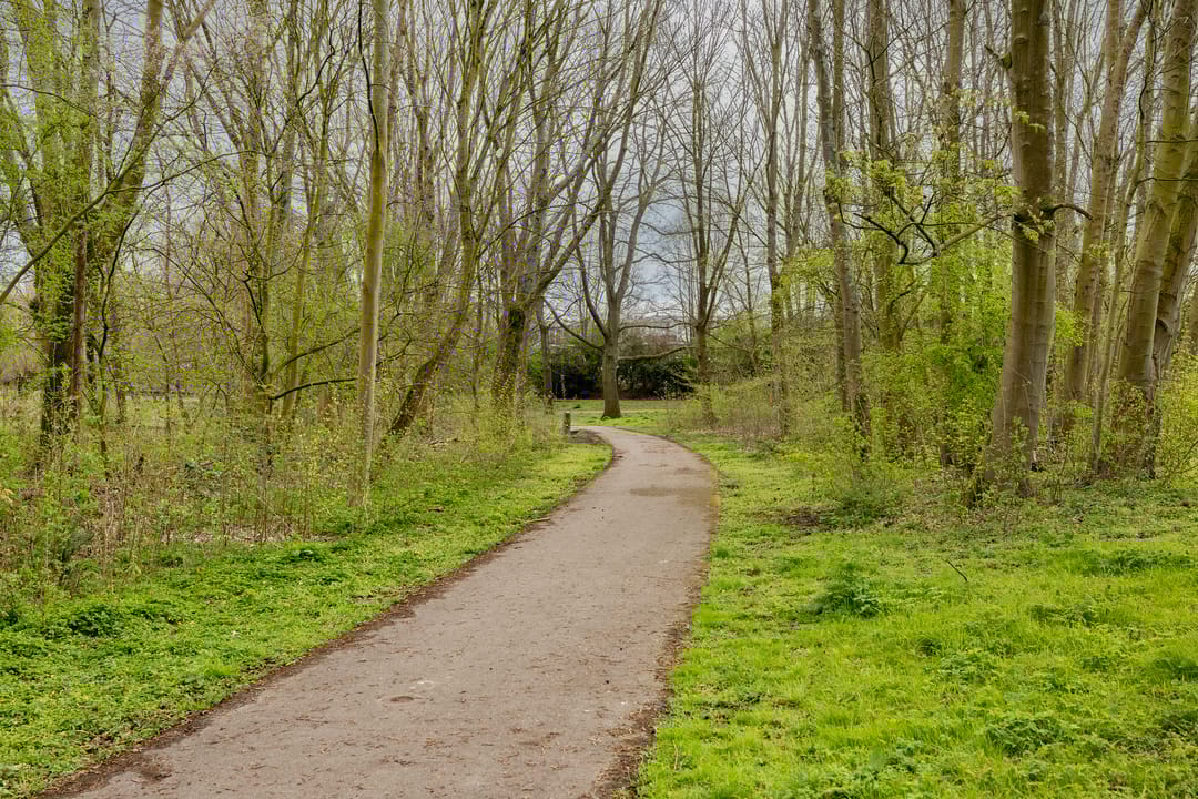 Photo 52 of Zestienhovensekade 351