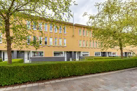 Coranthijnestraat thumbnail