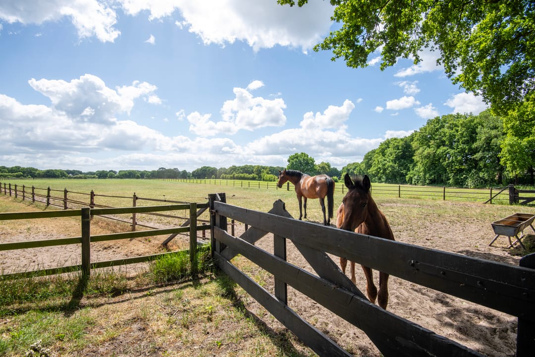 Foto 52 van Meulunterseweg 6