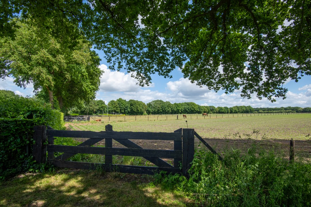 Foto 53 van Meulunterseweg 6