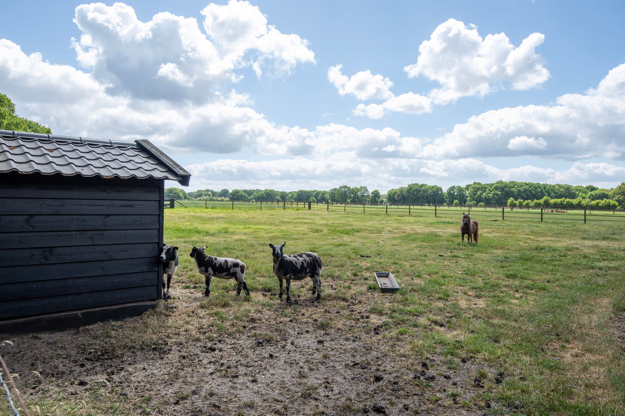 Foto 54 van Meulunterseweg 6