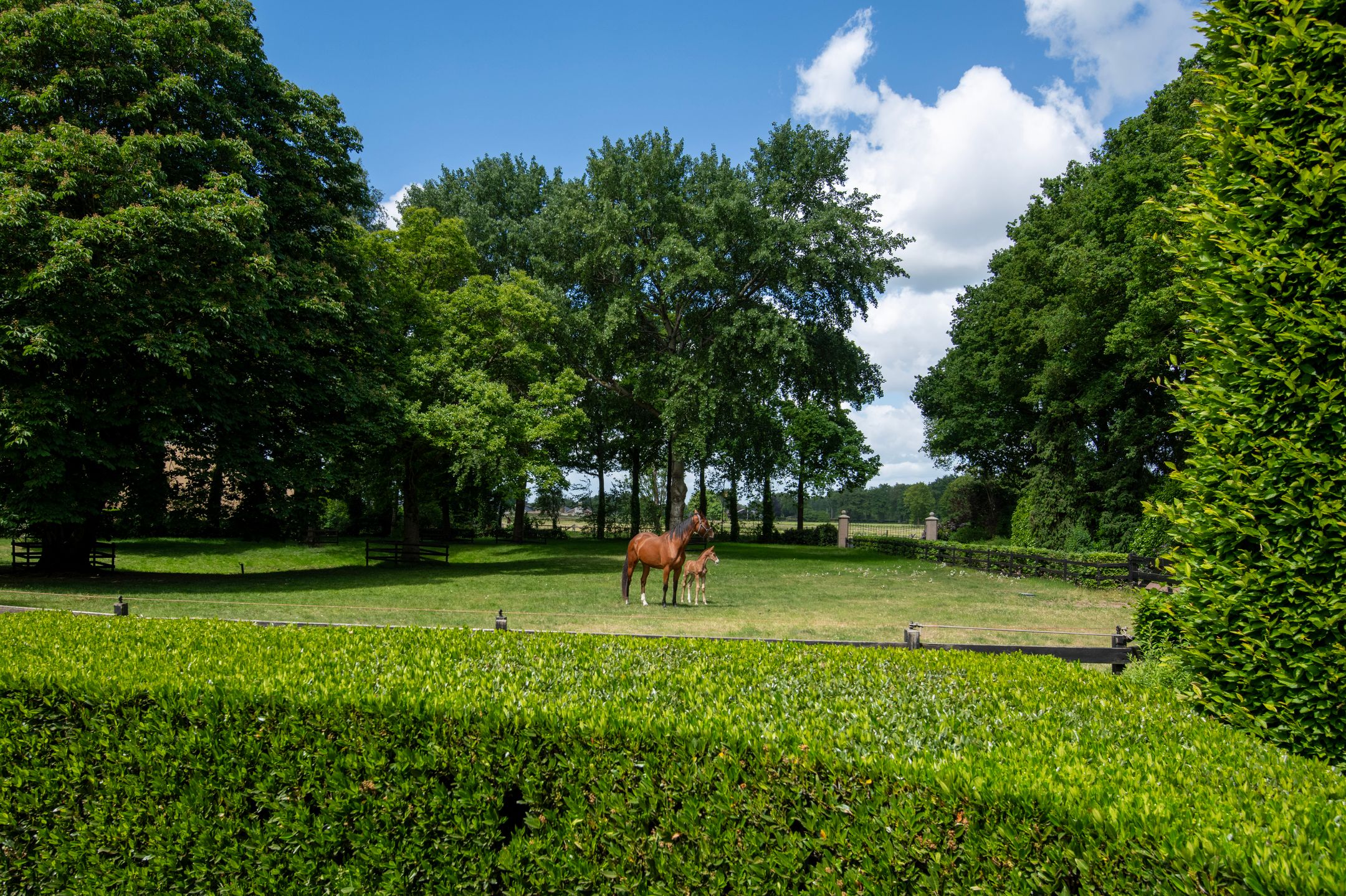 Foto 60 van Meulunterseweg 6