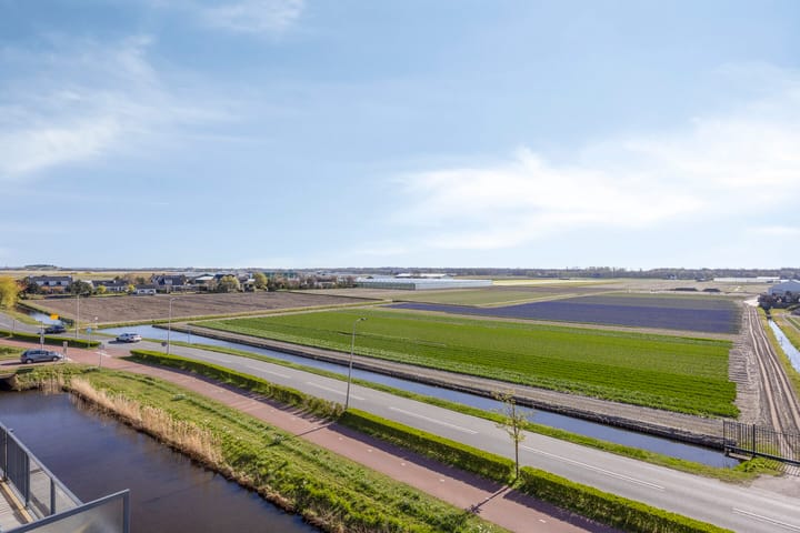 Foto 5 van Colosseum 53