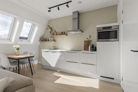 Ebbenhout 40-C secondary image