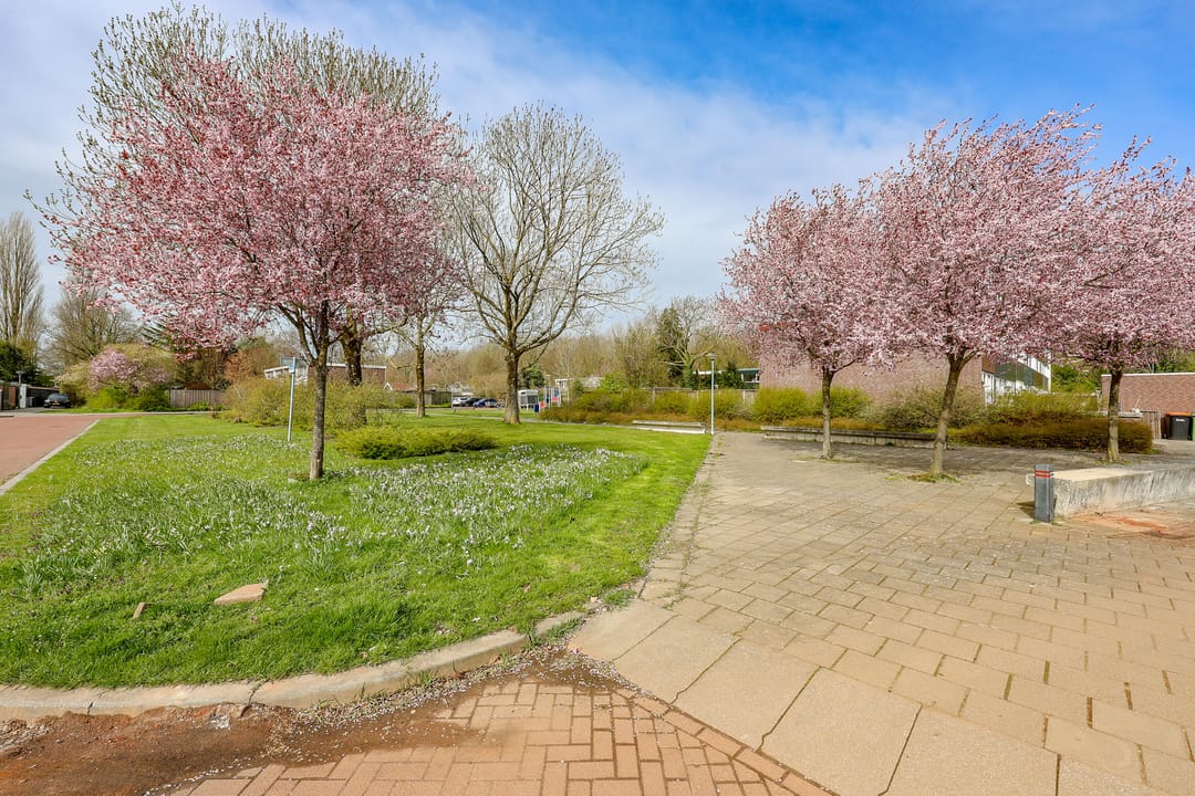 Photo 31 of Zwartewater 68