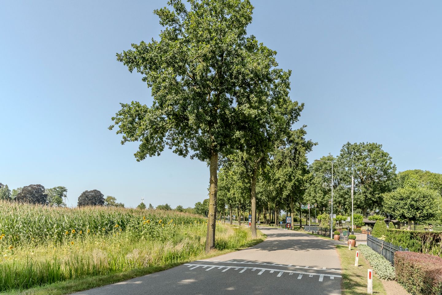 Foto 55 van Keizerstraat 96