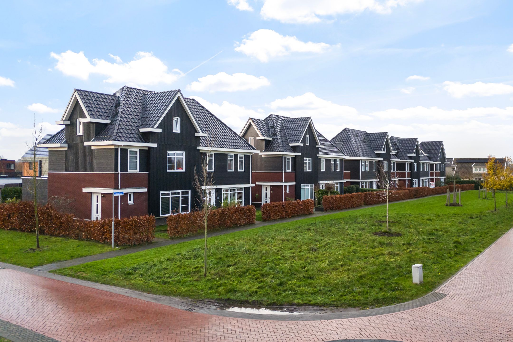 Photo 39 of Dielsfinne 23