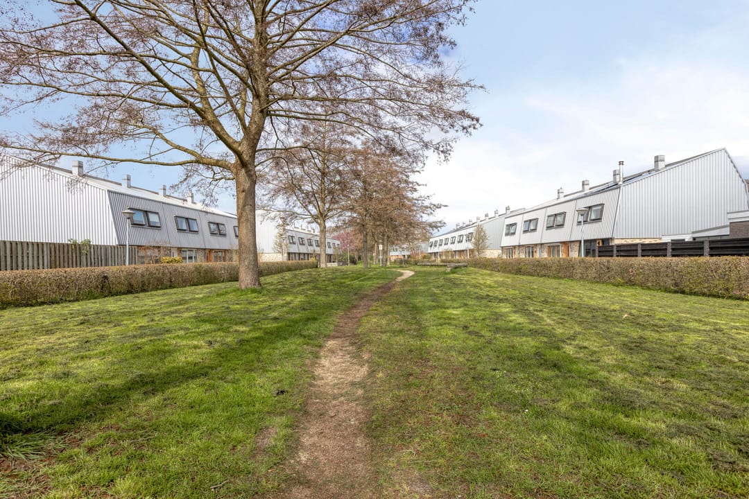 Photo 47 of Cees Buddingh'hof 92