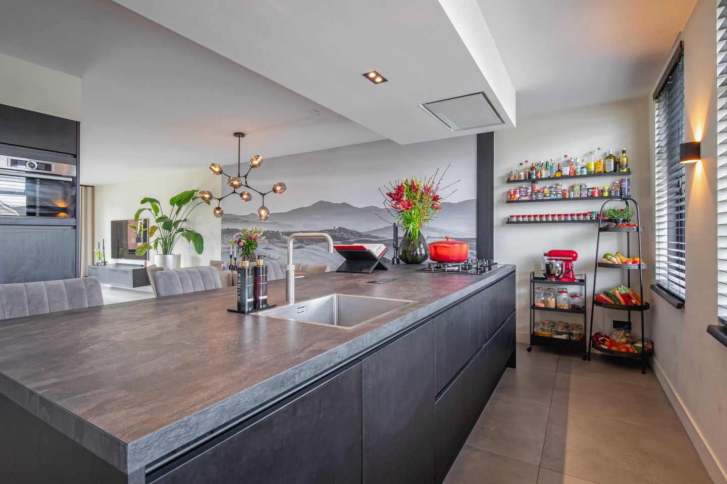 Foto 14 van Distelvlinder 47