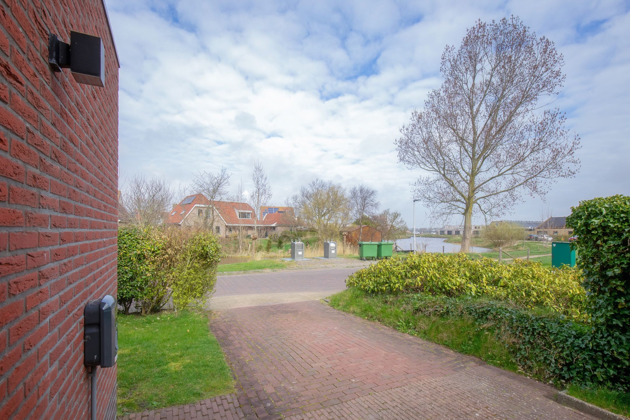 Foto 48 van Distelvlinder 47