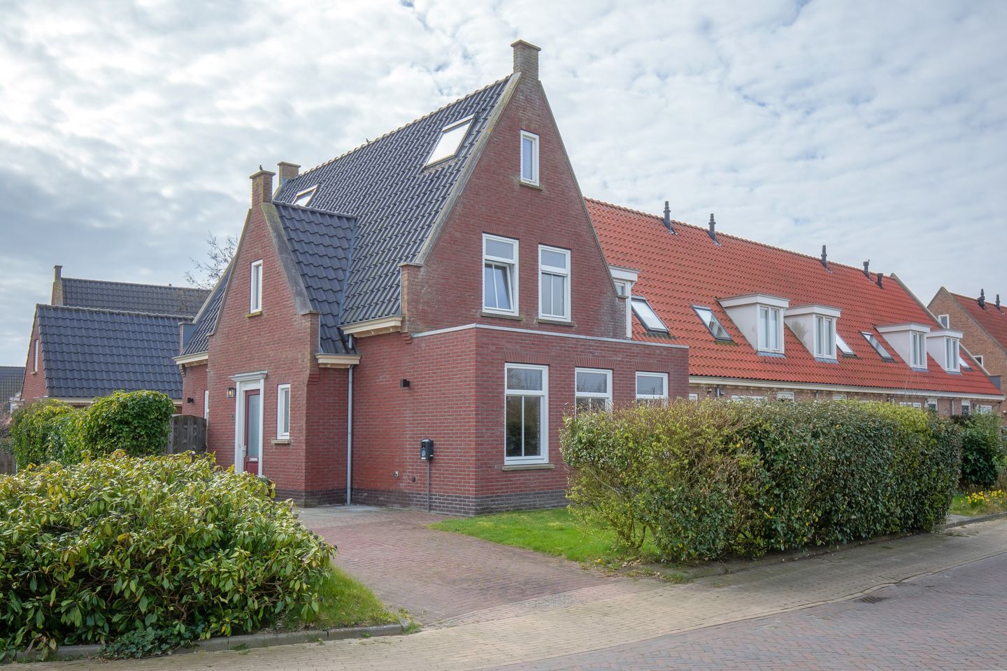 Foto 50 van Distelvlinder 47