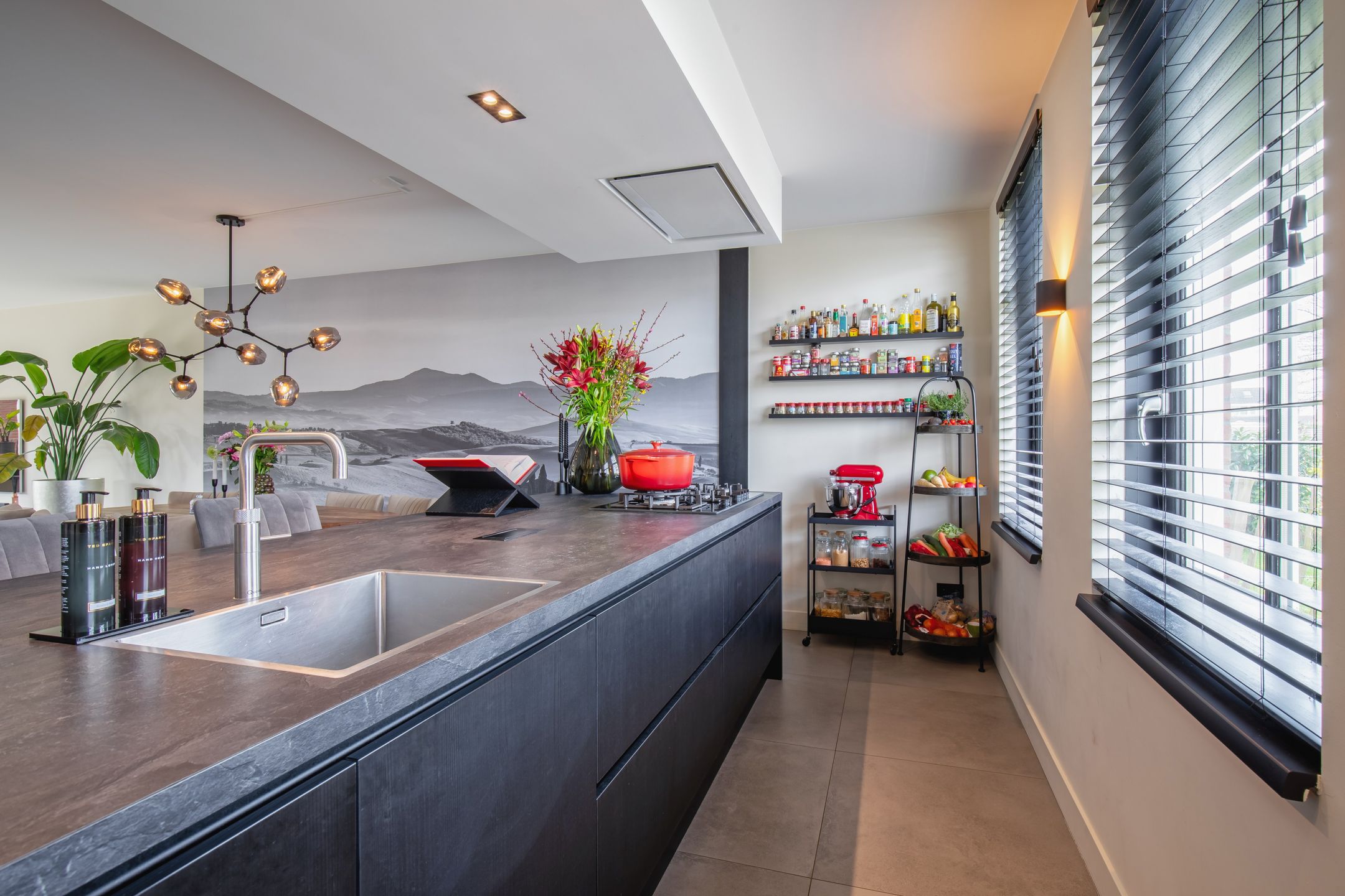 Foto 15 van Distelvlinder 47