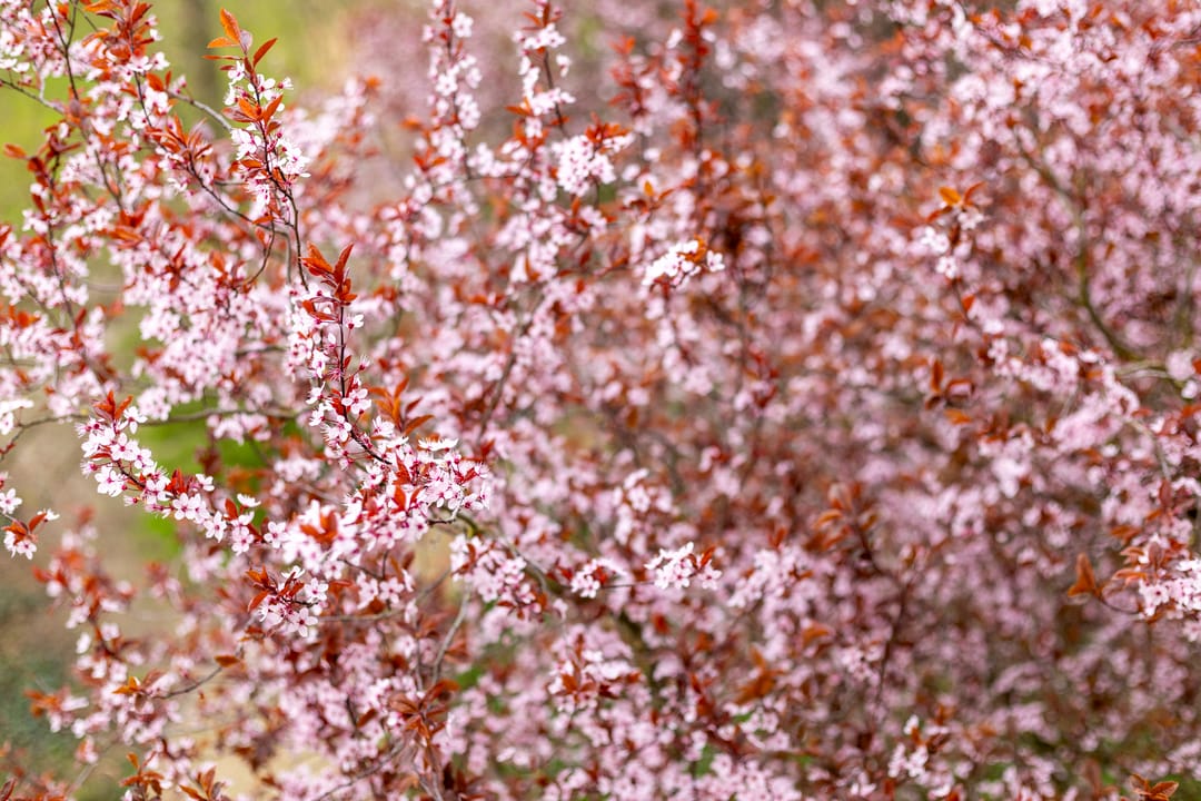 Foto 26 van Heunpark 2211