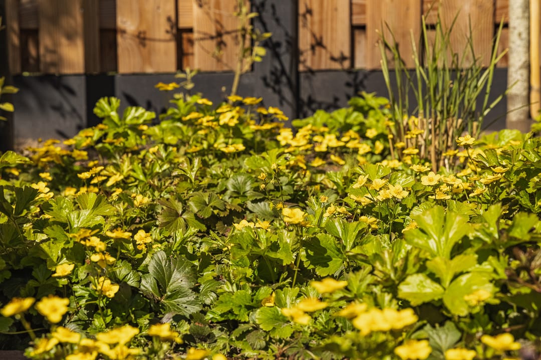 Photo 47 of Damhertstraat 14