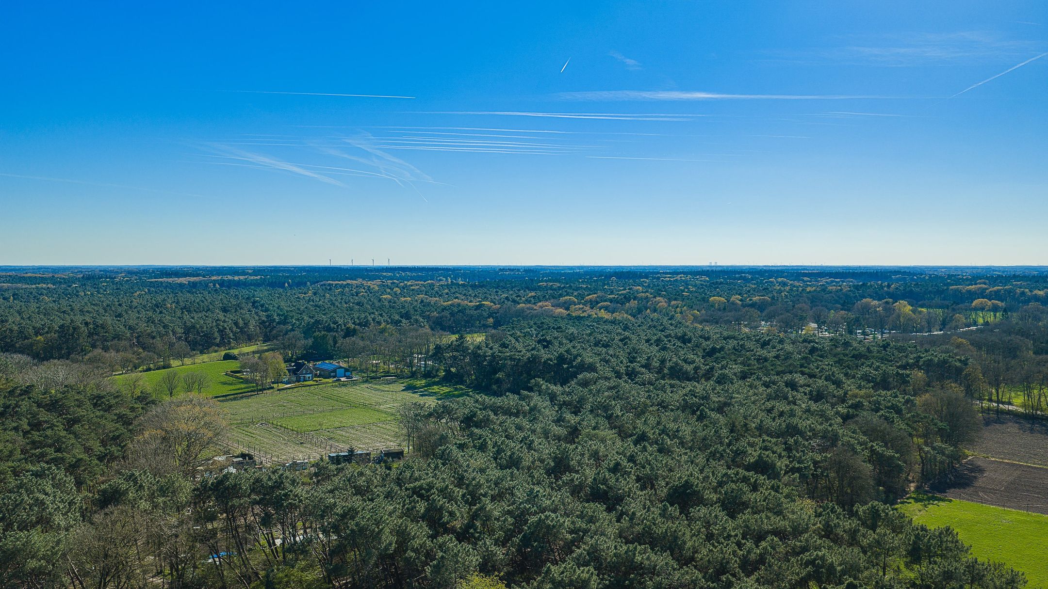 Photo 54 of Damhertstraat 14