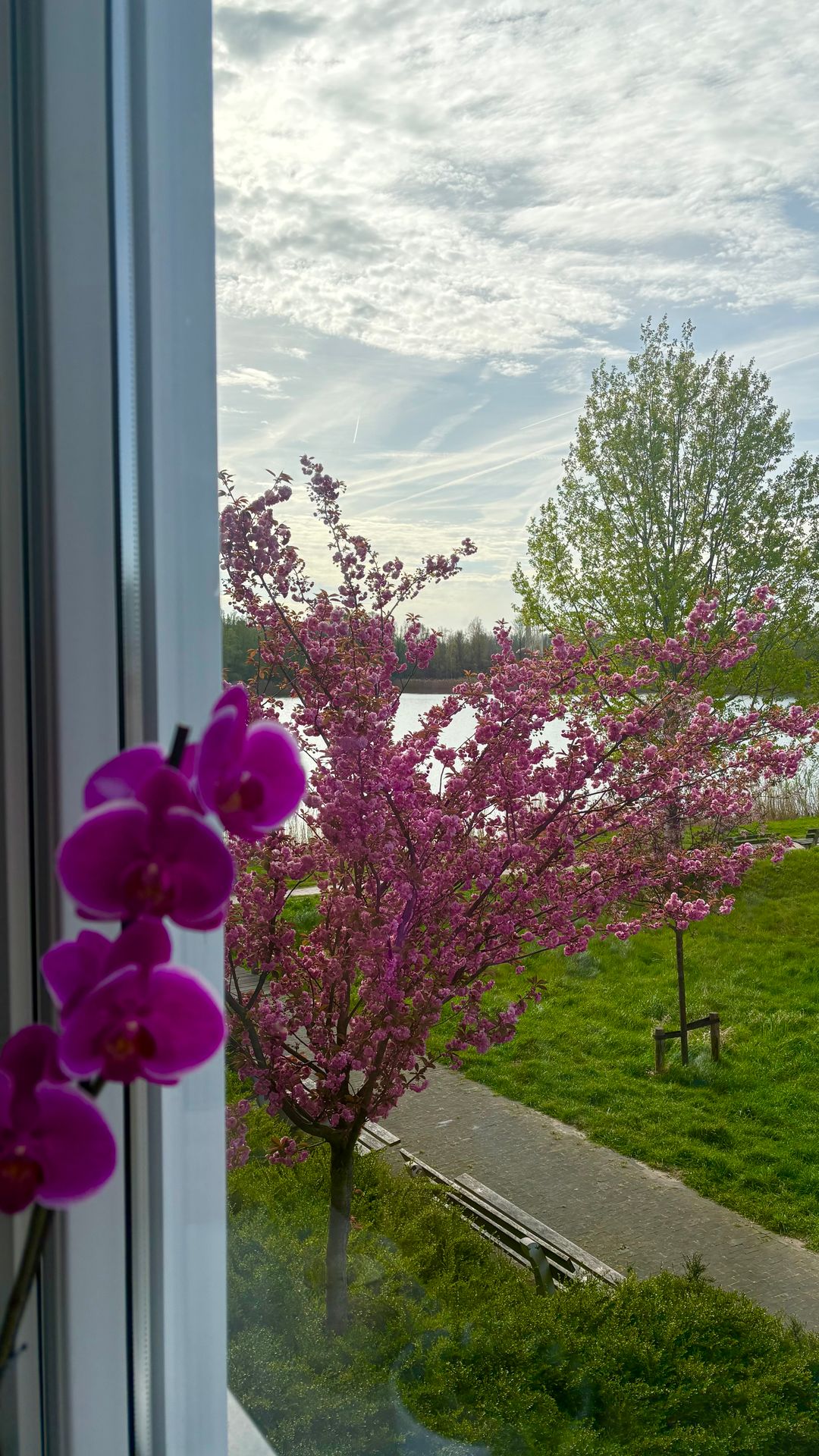 Foto 22 van Eimersland 41