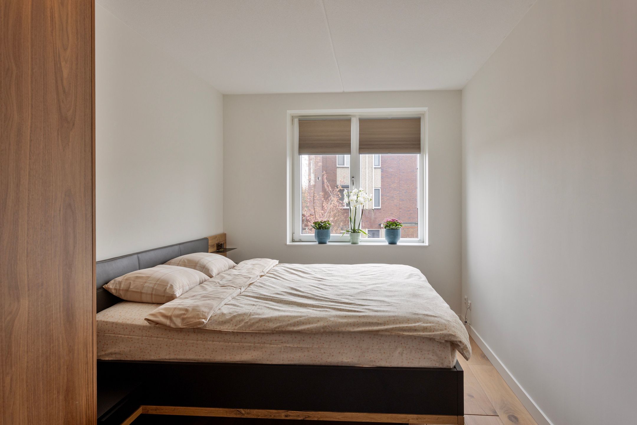 Foto 42 van Eimersland 41