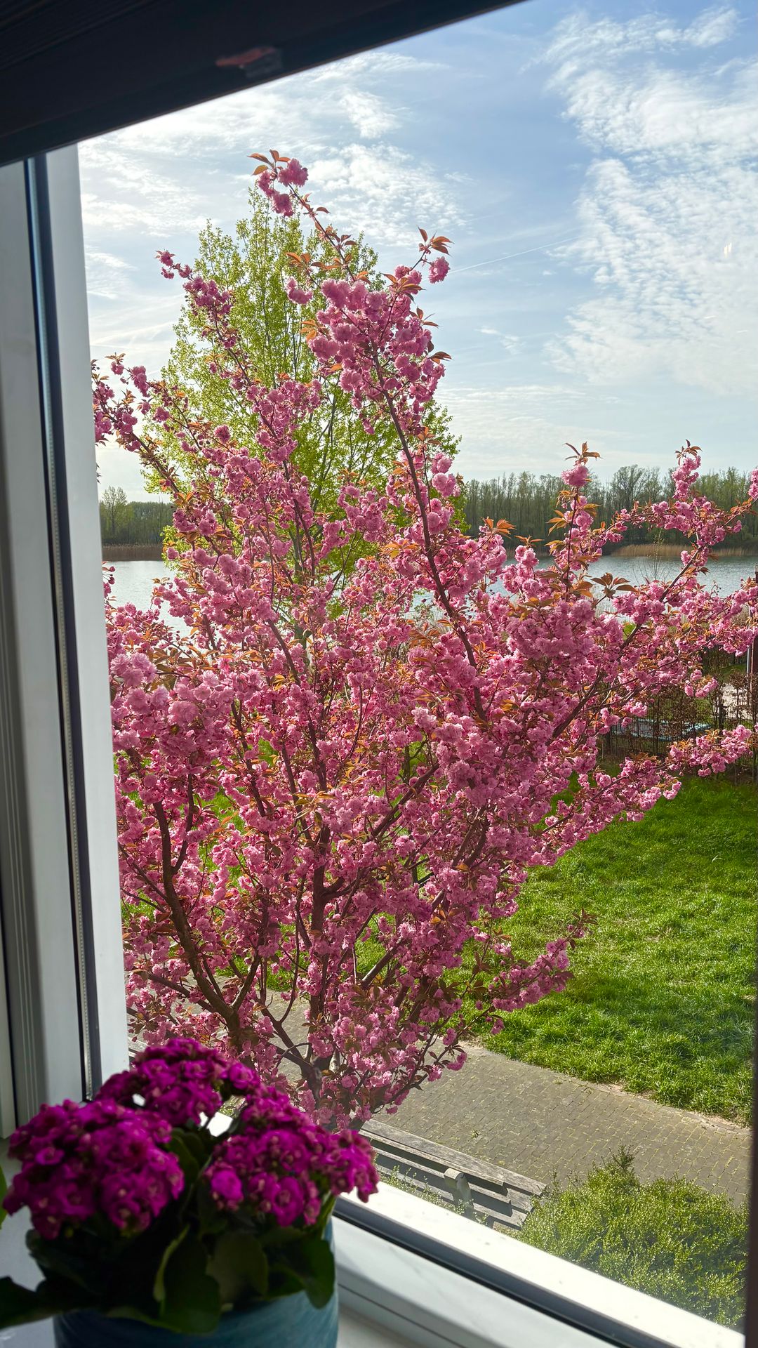 Foto 43 van Eimersland 41