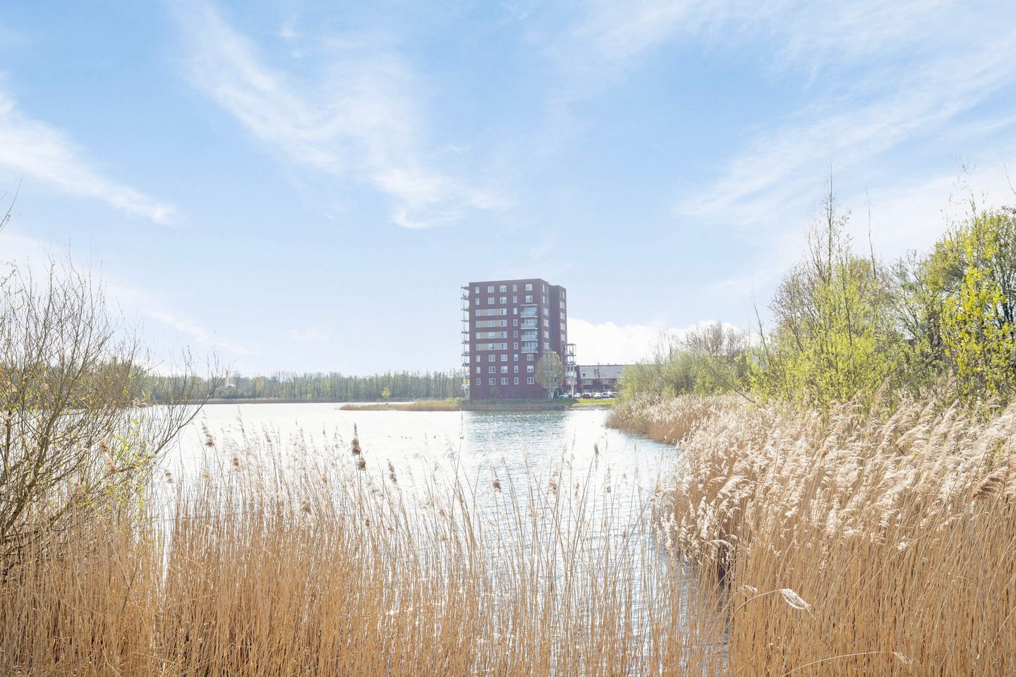 Foto 59 van Eimersland 41