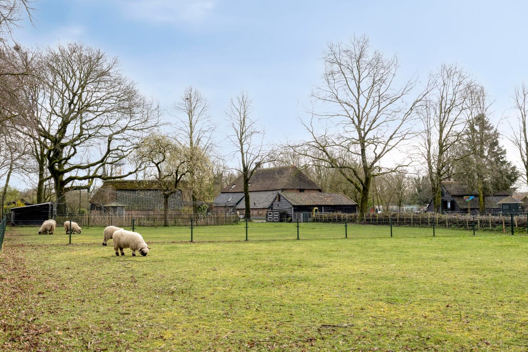 Foto 28 van Poggenbeekstraat 19