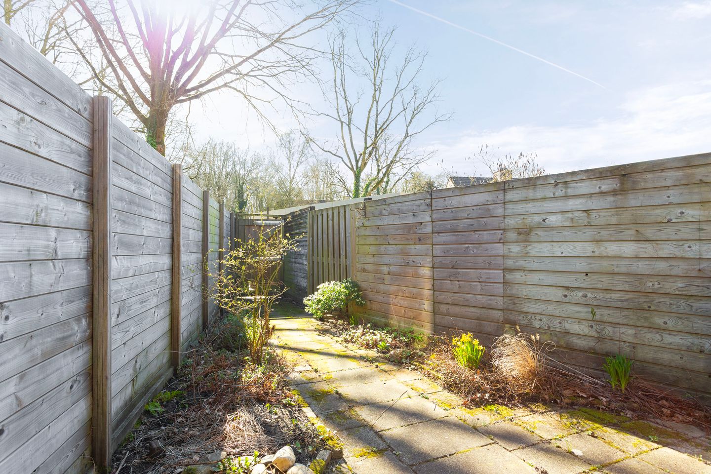 Foto 5 van Willem van Otterloostraat 78