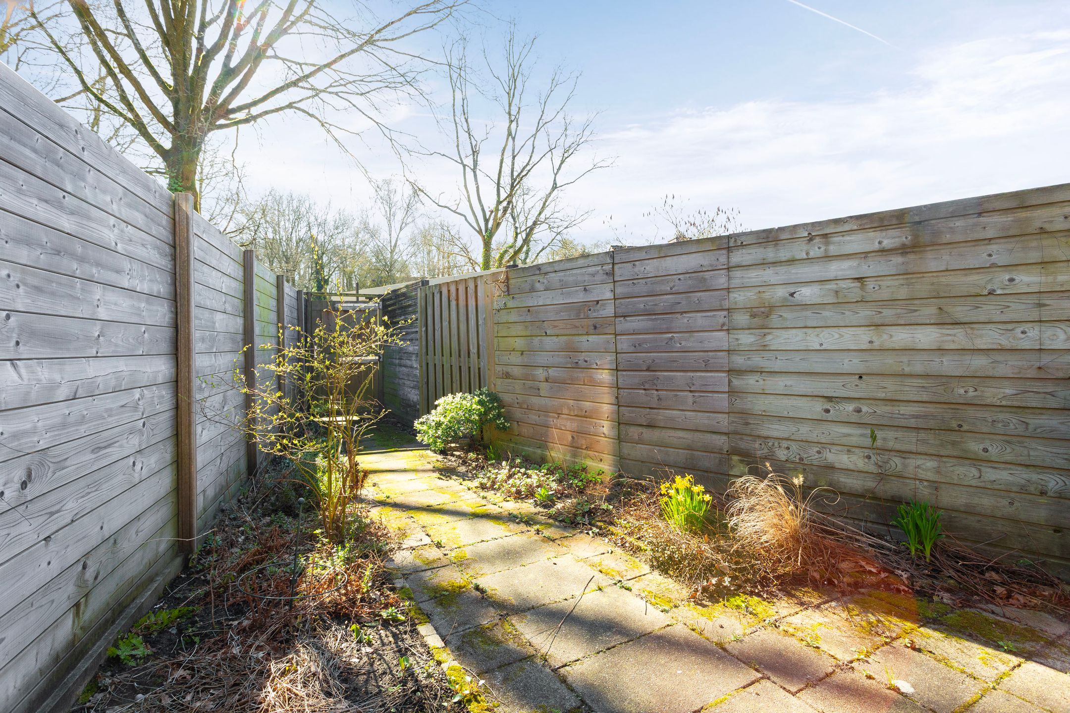 Foto 18 van Willem van Otterloostraat 78