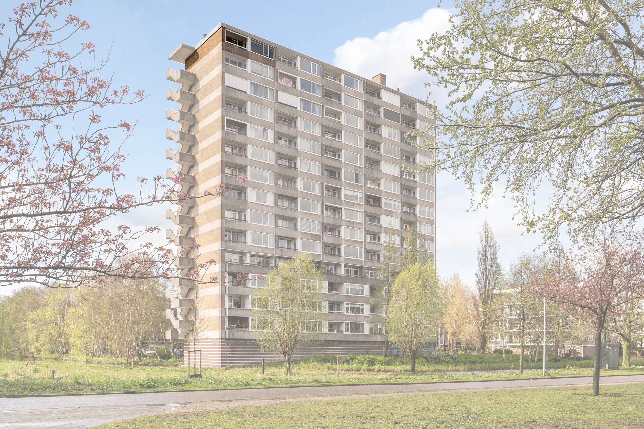 Foto 6 van Coornhertstraat 179