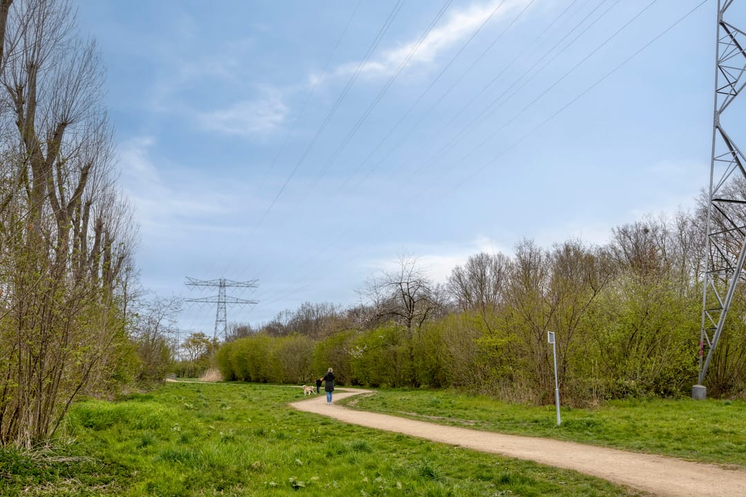 Foto 47 van Reigerskamp 195