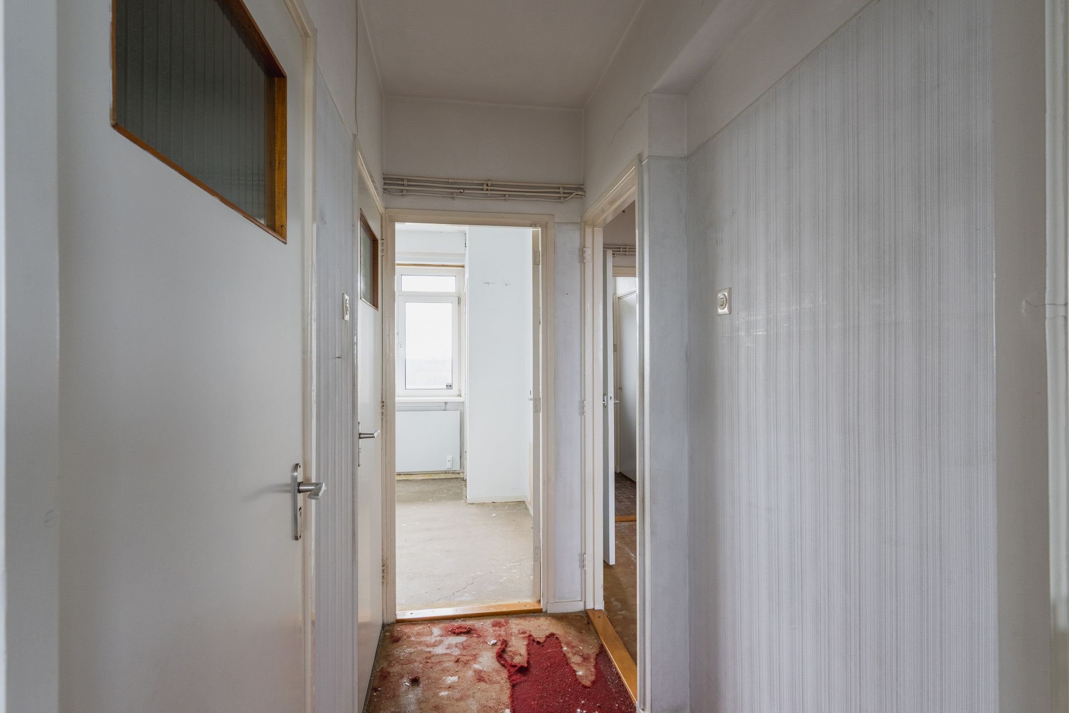 Foto 24 van Coornhertstraat 179