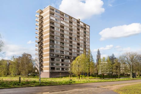 Coornhertstraat thumbnail