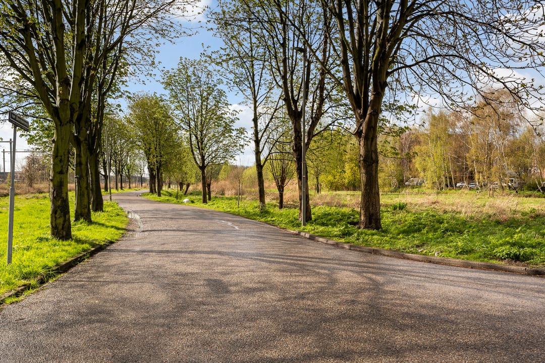 Foto 41 van Coornhertstraat 179