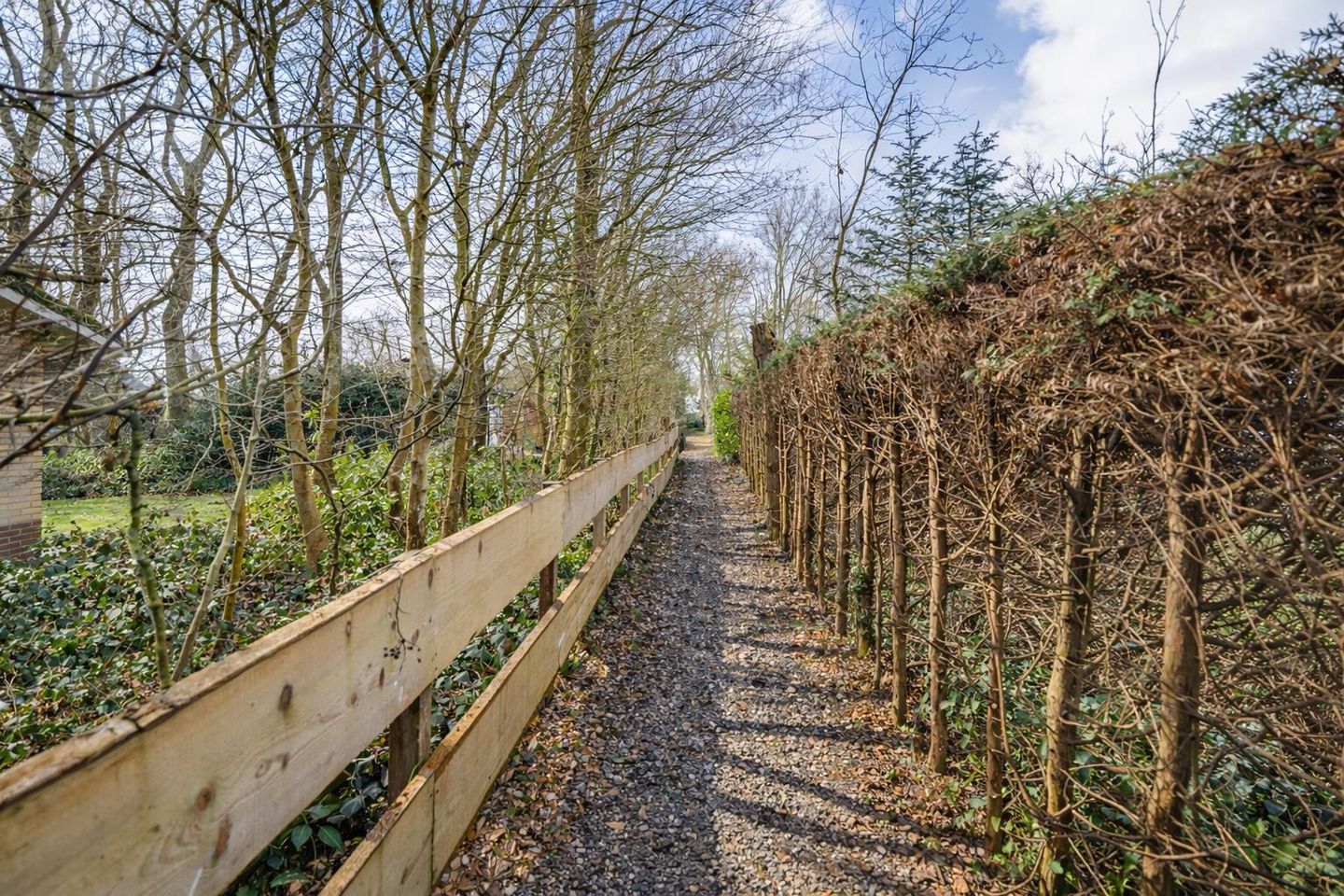 Foto 19 van Jonkerstee 45